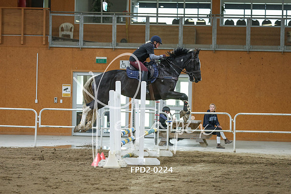FPD2-0224