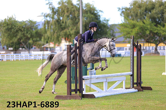 23HAP1-6889