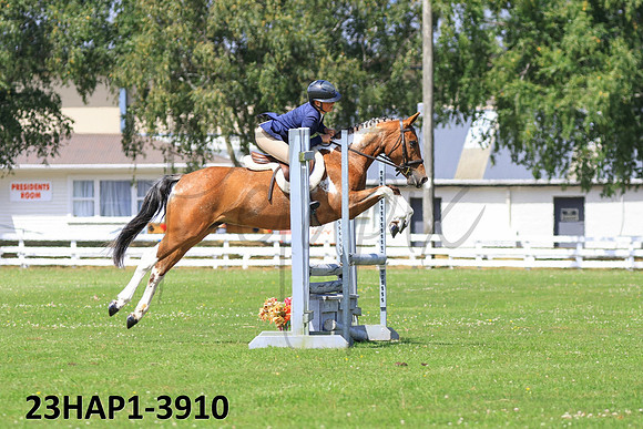 23HAP1-3910