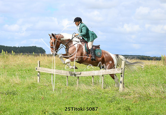 25Titoki-5087