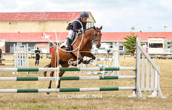 NIPCCHAMPS2-7954