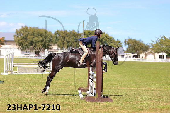 23HAP1-7210