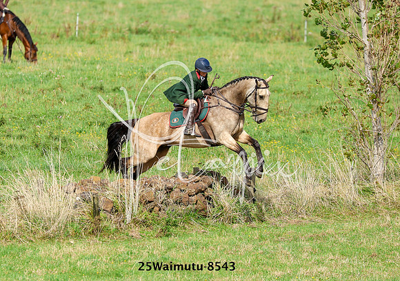 25Waimutu-8543