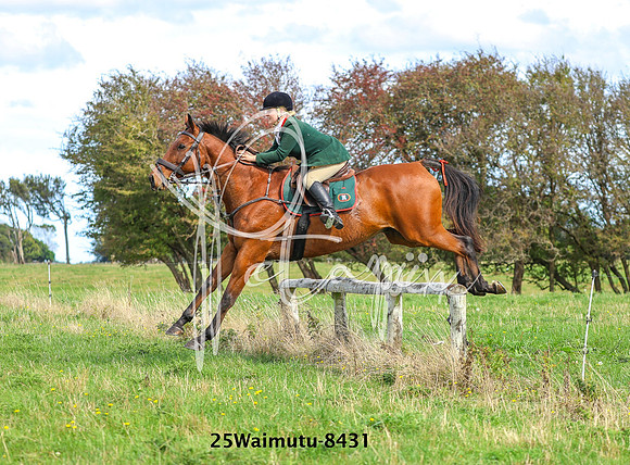 25Waimutu-8431