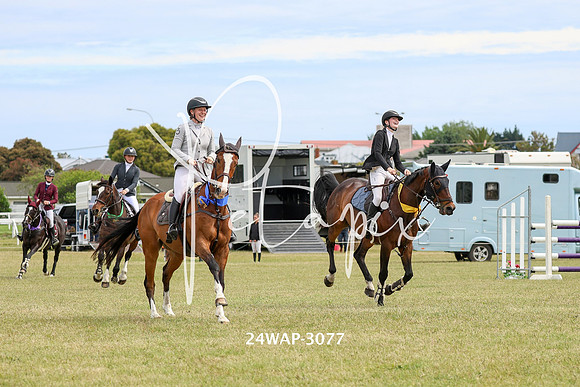 24WAP-3077