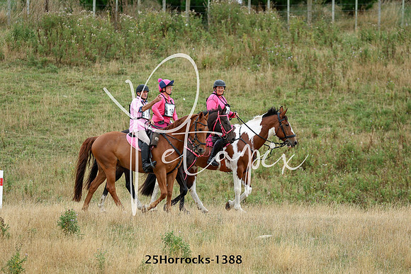 25Horrocks-1388