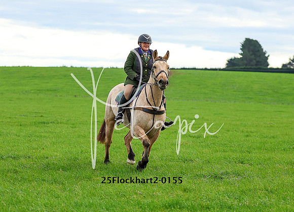 25Flockhart2-0155