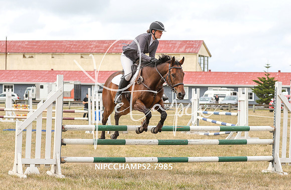 NIPCCHAMPS2-7985