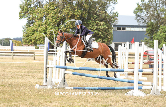 NIPCCHAMPS2-7949