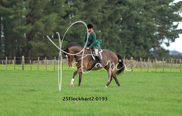 25Flockhart2-0193