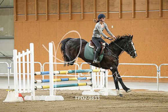 FPD2-0833