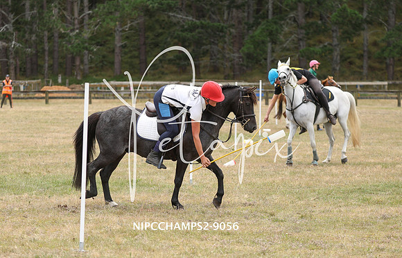 NIPCCHAMPS2-9056
