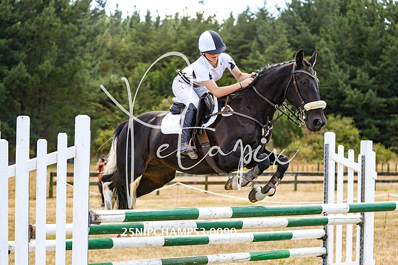 25NIPCHAMPS3-0090