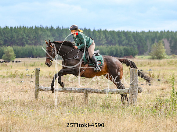 25Titoki-4590
