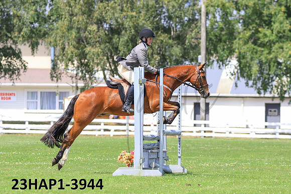 23HAP1-3944