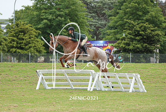 24FNIC-0321