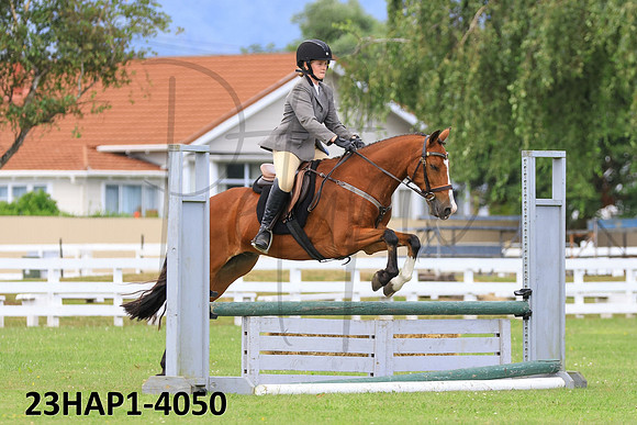23HAP1-4050