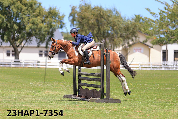 23HAP1-7354