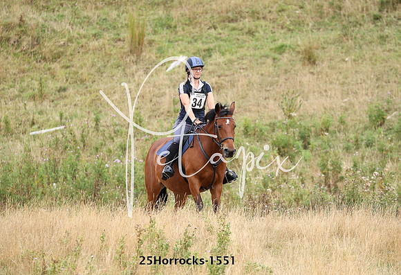 25Horrocks-1551