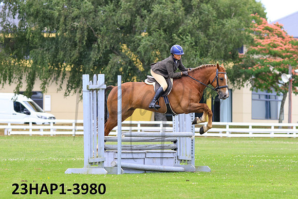 23HAP1-3980