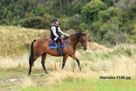 Waimutu-2148