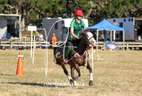 25NIPCHAMPS3-9618