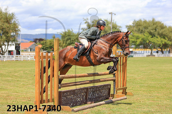 23HAP1-7340