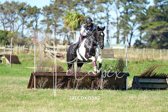 24ECDX-0387