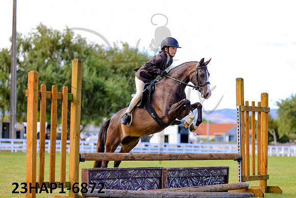 23HAP1-6872