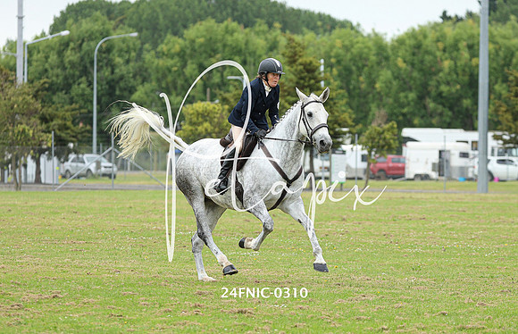 24FNIC-0310