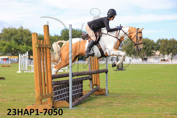 23HAP1-7050