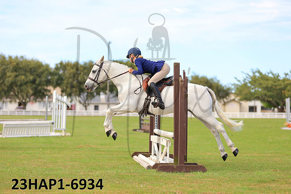 23HAP1-6934