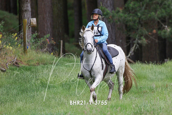 BHR21-1-3755