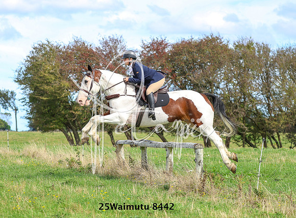 25Waimutu-8442