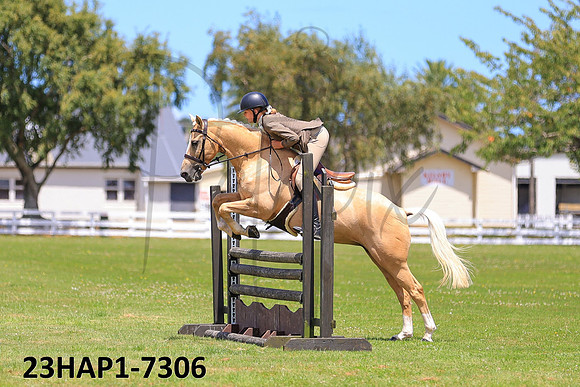 23HAP1-7306