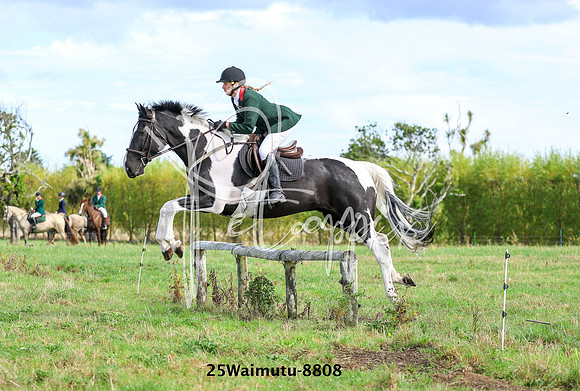 25Waimutu-8808