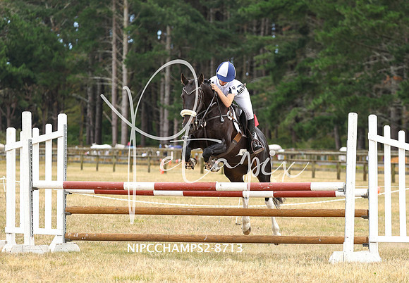 NIPCCHAMPS2-8713
