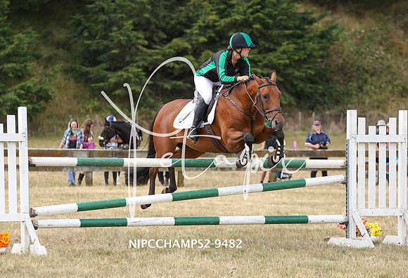 NIPCCHAMPS2-9482