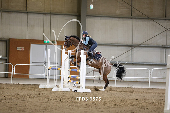 FPD3-0875