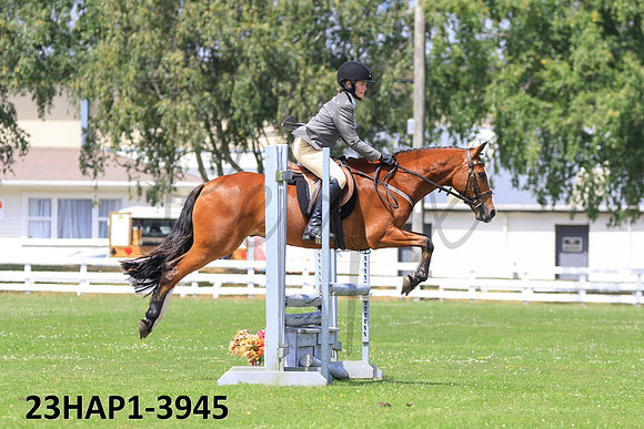 23HAP1-3945