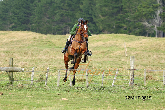 22MHT-0819
