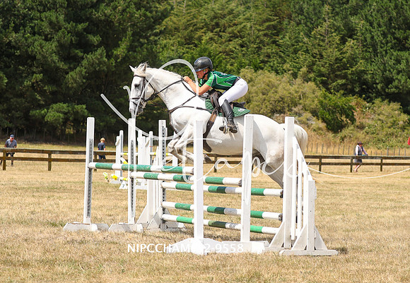 NIPCCHAMPS2-9558