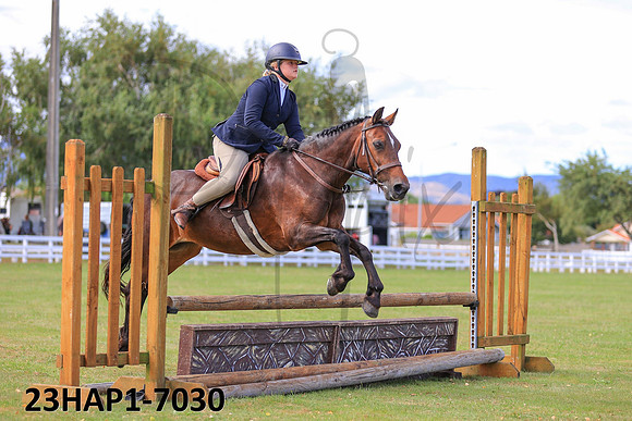 23HAP1-7030