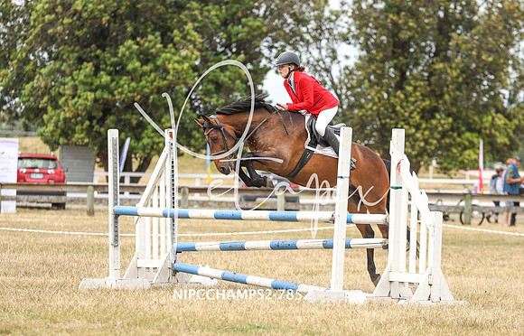 NIPCCHAMPS2-7852