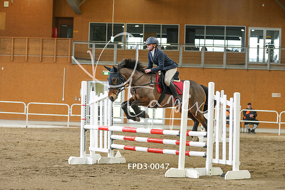 FPD3-0047
