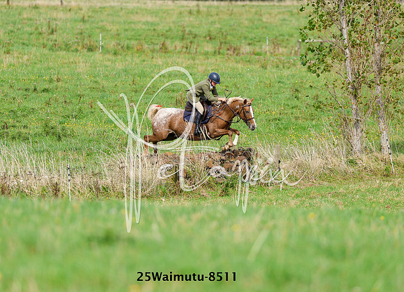 25Waimutu-8511