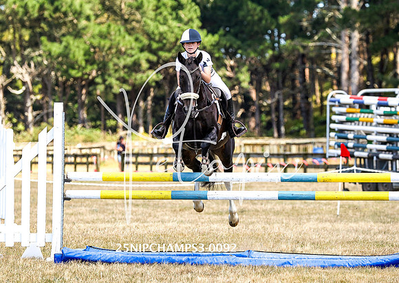 25NIPCHAMPS3-0092