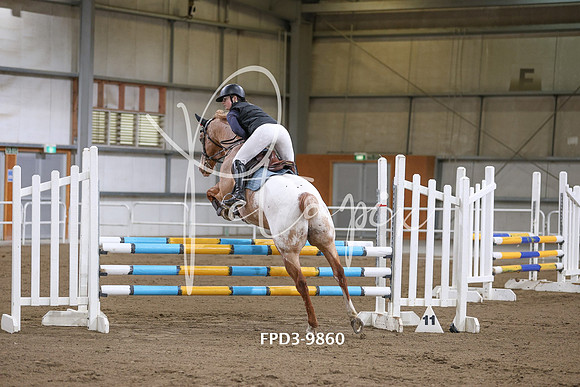 FPD3-9860