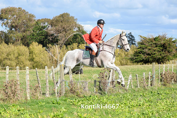 Kontiki-4667