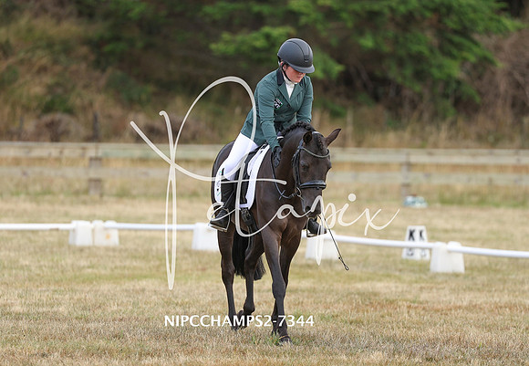 NIPCCHAMPS2-7344